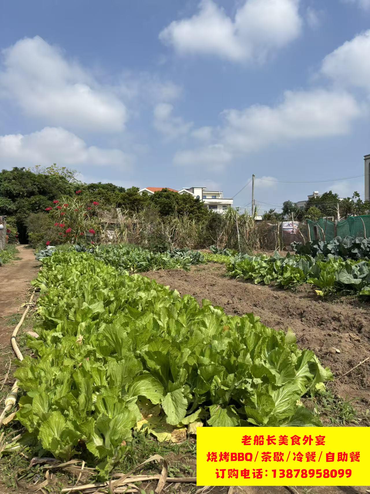 微信图片_20260206173457