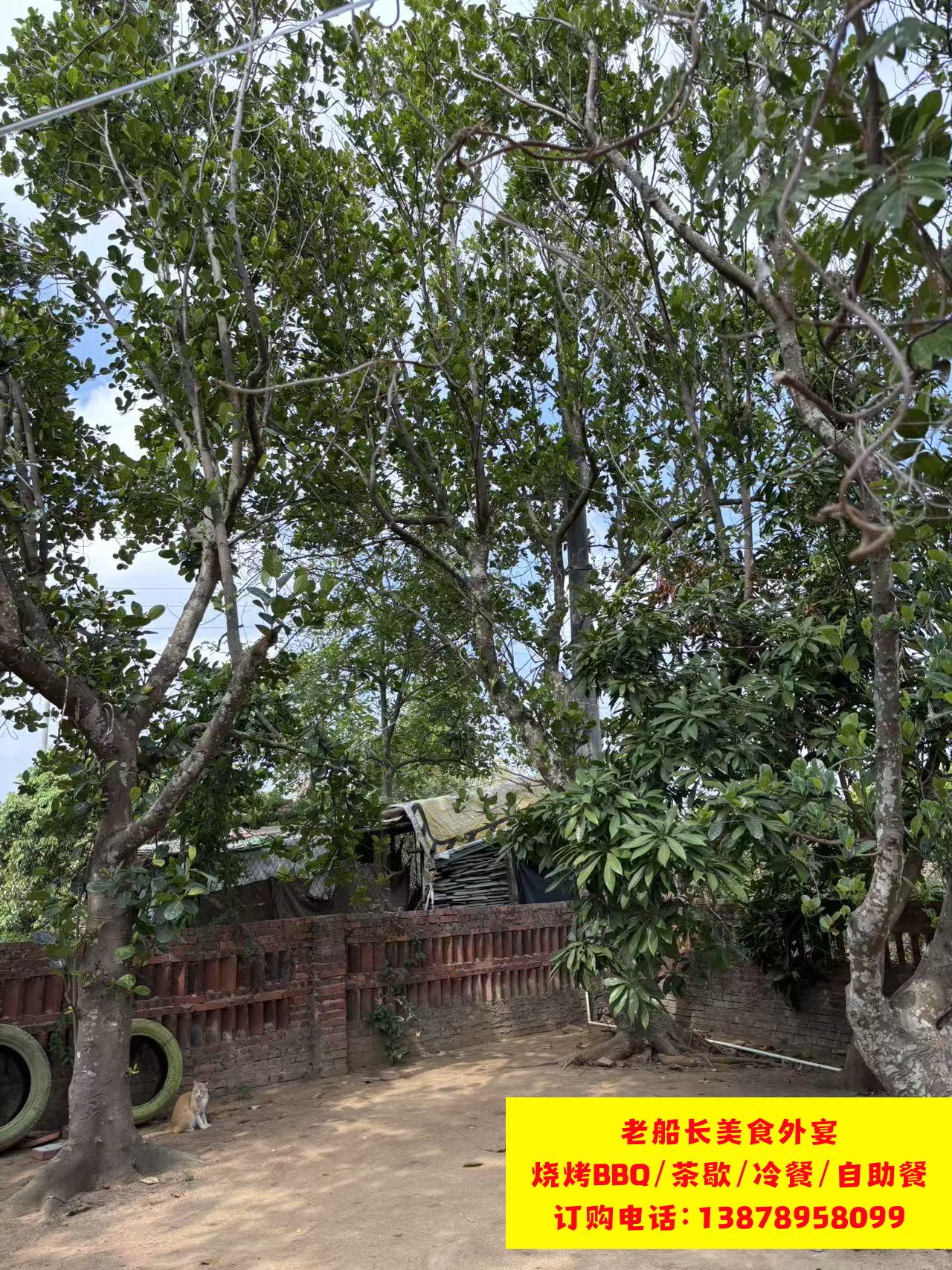 微信图片_20260206173501