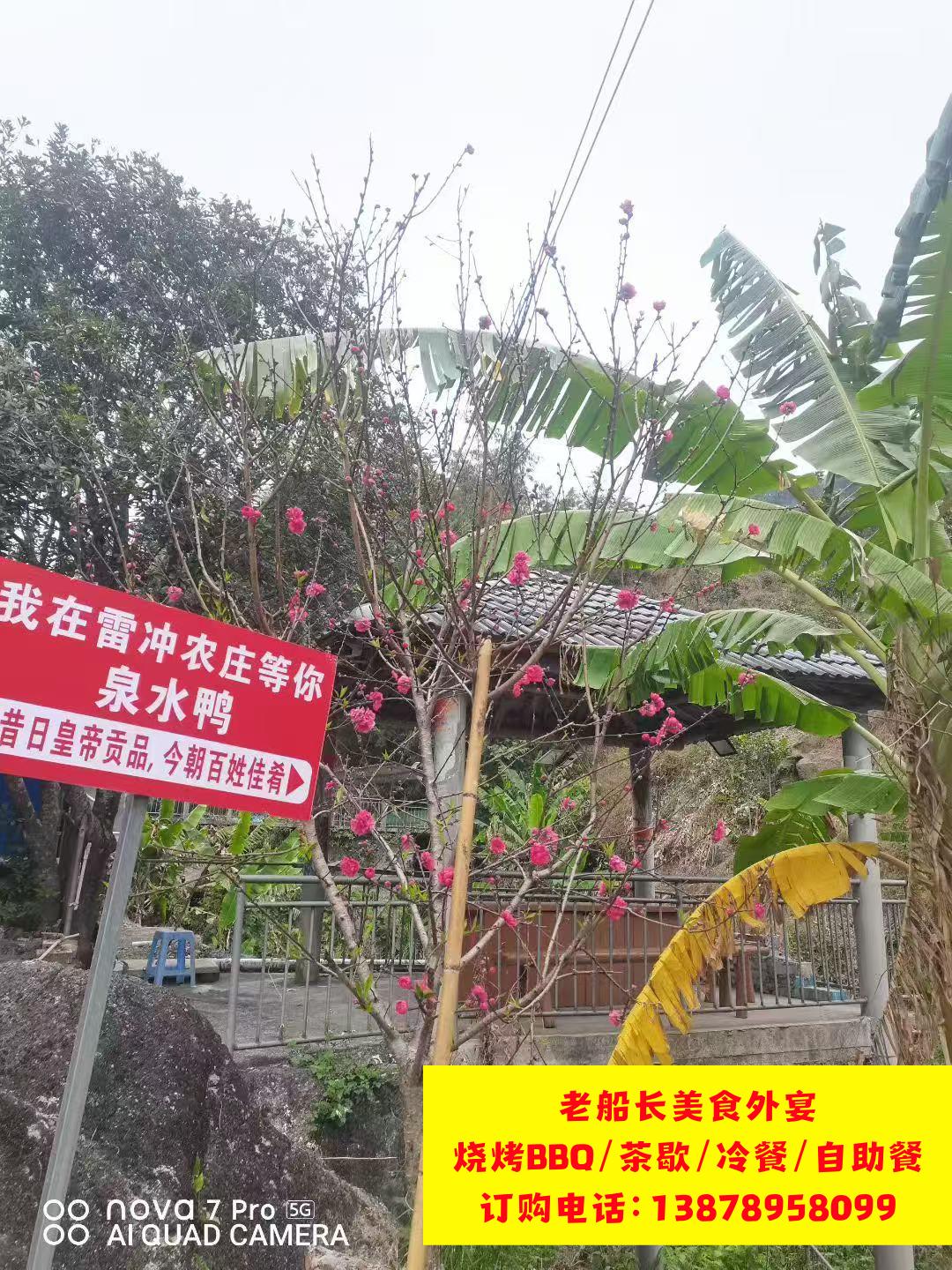 微信图片_20260305145345_209_46