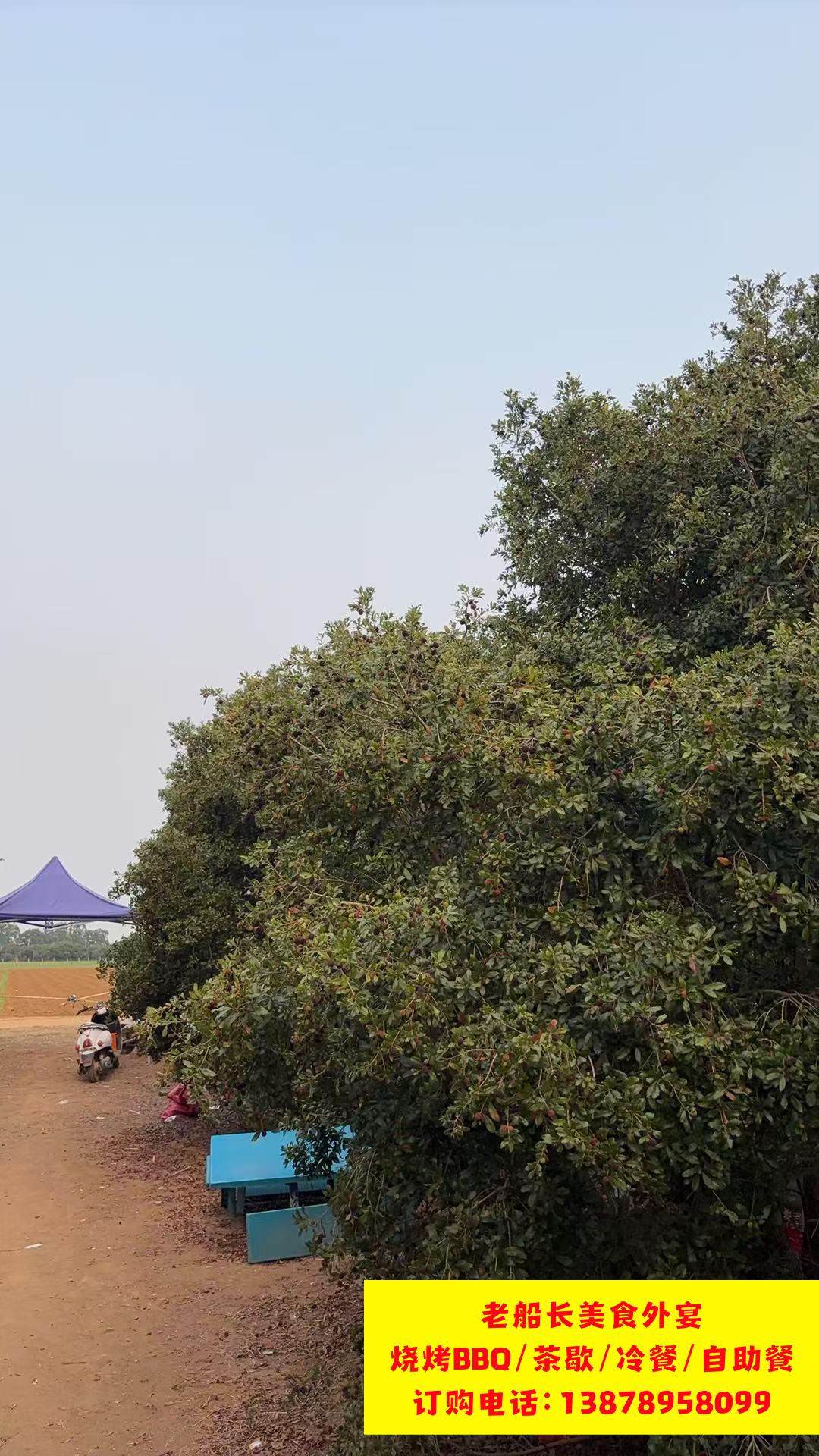 微信图片_20260402102237_424_100