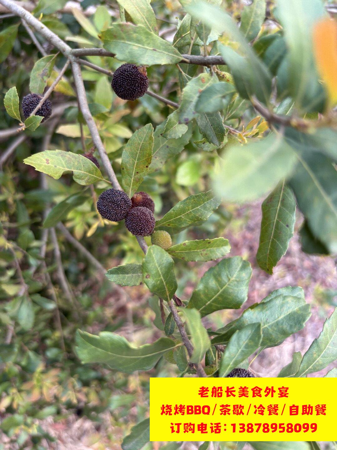 微信图片_20260402102254_426_100