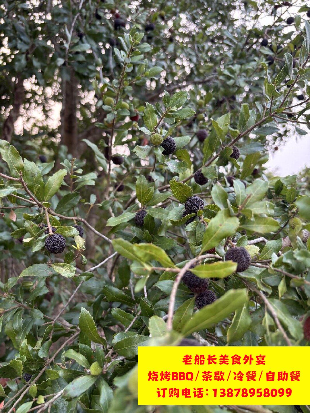 微信图片_20260402102257_428_100