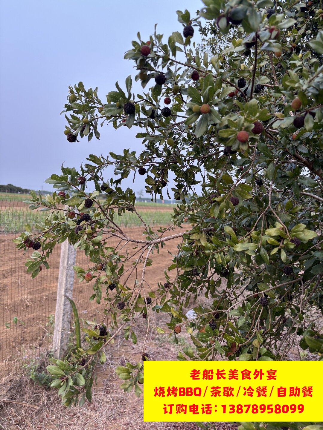 微信图片_20260402102300_429_100